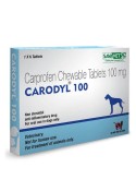 Sava Healthcare Carodyl 100 mg (6 tab)